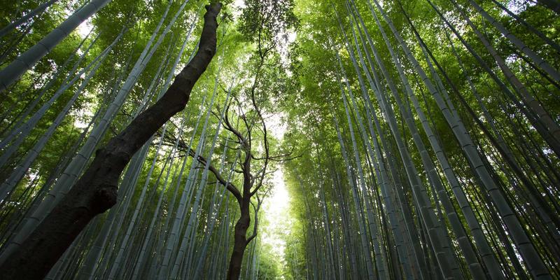 徒步登山鞋防水科技全解析：Gore-Tex、eVent与自家薄膜的透气防水实战测评